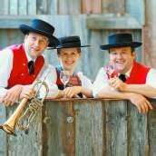 Bürgermusik Au lädt zum fulminanten Bezirksmusikfest