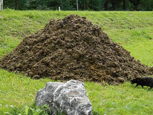 Anwohner klagen über Geruchsbelästigung und glauben, dass der Nachbar den Misthaufen absichtlich an der Grundstückgrenze platziert hat. Foto: Privat