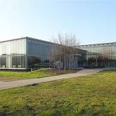 Zellulose-Multi in Lustenau