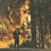 Wind facht Flammen im Yosemite-Park weiter an
