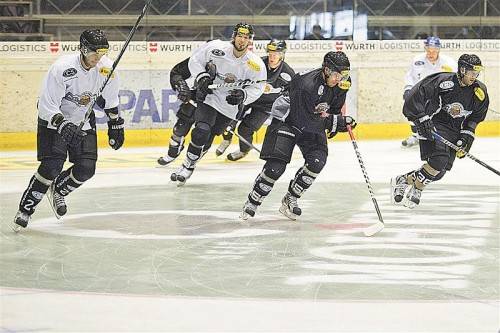 Der Test gegen die Wälder bringt den Bulldogs Abwechslung. Foto: ds