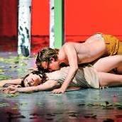 Des Nachts werden die Triebe munter