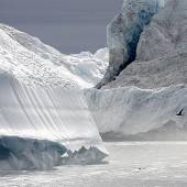 Rekord-Eisschmelze in der Arktis im Jahr 2012