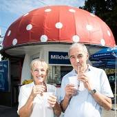 Milchpilz als Treffpunkt