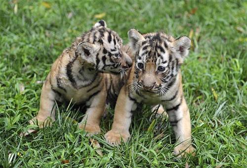 FOTO: REUTERS