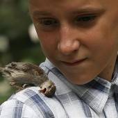 Tierische Freundschaft in Russland