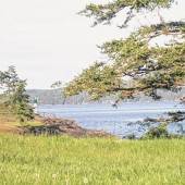 Campen auf Salt Spring Island