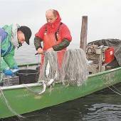 Der Bodensee ist nicht zusauber, sondern überfischt