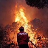 Waldbrände in Portugal weiter außer Kontrolle