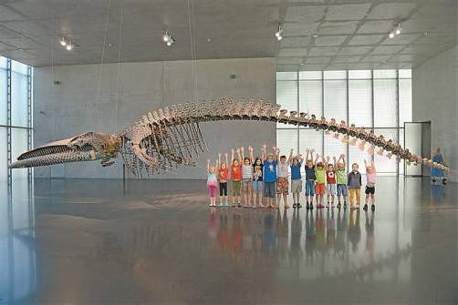 Lohnend ist der Aufenthalt in den Vorarlberger Kulturhäusern auf jeden Fall: Kleine Besucher unter dem großen Wal, dem „Dark Wave“ von Gabriel Orozco, im Kunsthaus Bregenz. Foto: Rudolf Sagmeister