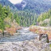 Der Pacific-Rim-Nationalpark