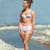 Modelmaße in Bikini