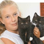 Zwei verschmuste Katzenbabys suchen ein neues Zuhause