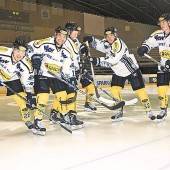 Bulldogs im Dauerstress