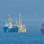 Greenpeace-Aktivisten wie Piraten behandelt