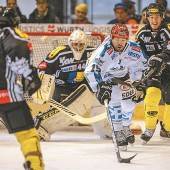Auf die Bulldogs warten lauter harte Knochen