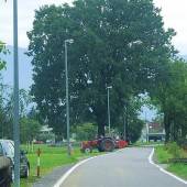 Beleuchtungsfehler in Lustenau beseitigt