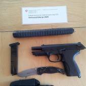 Grenzwächter stellten mehrere Waffen sicher