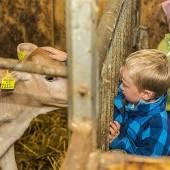 Riesenspaß hatten ganz besonders die Kinder am Tag der offenen Stalltür im Ökoland Vorarlberg