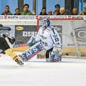 Bulldogs zu brav für die Linzer