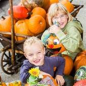 Farbenfrohe Kürbisse sind die Stars im Herbst