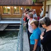 Alte Mühle liefert Strom aus Wasserkraft