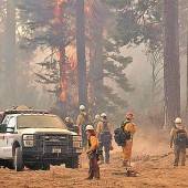 Brand am Yosemite-Park viertgrößter in Kaliforniens Geschichte