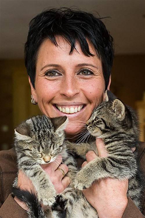 Eine wahre Tierfreundin: 30 Katzen versorgt Alexandra Stampfer zurzeit in ihren eigenen vier Wänden. Foto: VN/Steurer