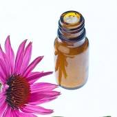 Mini-Med im Herbst