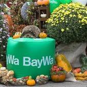 BayWa Lauterach feiert großes Herbstfest