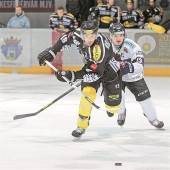 Die Bulldogs legten nach