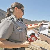 Politische Brandstifter und Warten auf die Feuerwehr
