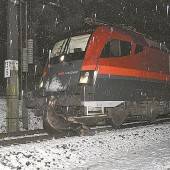 Entlaufene Kühe von Schnellzug erfasst