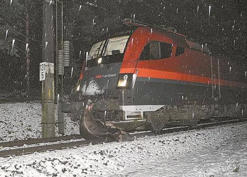 Zwei Kühe verirrten sich auf die Bahngleise und wurden von einem Railjet erfasst, ein weiteres Tier wurde verletzt. Foto: Polizei