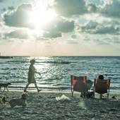 Ihre andere Stadt: Tel Aviv, Jänner 2012