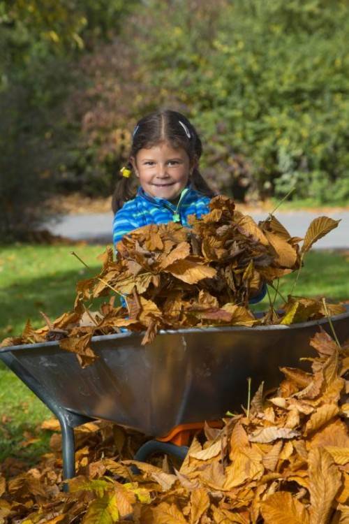 Bunte Blätter, milde Temperaturen. Der heurige Herbst ist für alle eine besondere Attraktion. Foto: VN/Paulitsch