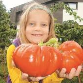 Garten-Gigant in Kinderhand