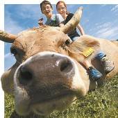 VN-Tierschutzpreis verliehen an Landwirte und Tierretter