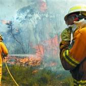 Buschbrand in Australien