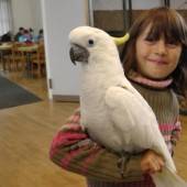 Größte Vogelschau in Westösterreich