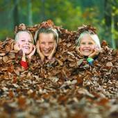 Es raschelt im Wald