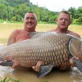 Brite fischte 60-Kilogramm- Karpfen
