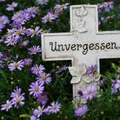 Gott, ein Liebhaber des Lebens