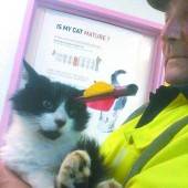 Kater in Neuseeland überlebt mit Pfeil im Kopf
