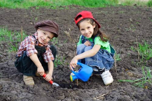 Two kids watering the sprout on field