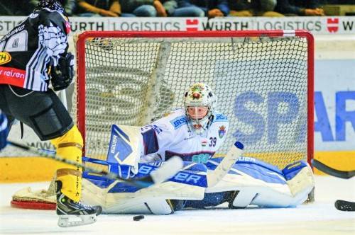 Wie aufgezogen: Dornbirn-Torjäger Luciano Aquino – im Bild gegen Fehervar-Goalie Bence Balizs– war gegen die Ungarn in Hochform. Foto: gepa