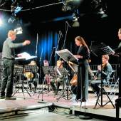 Vorarlberger schickt Mozart zum Zahnarzt
