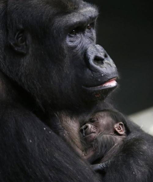 Foto: REUTERS