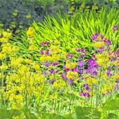 Trengwainton Garden