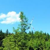 Rückenwind für Windpark